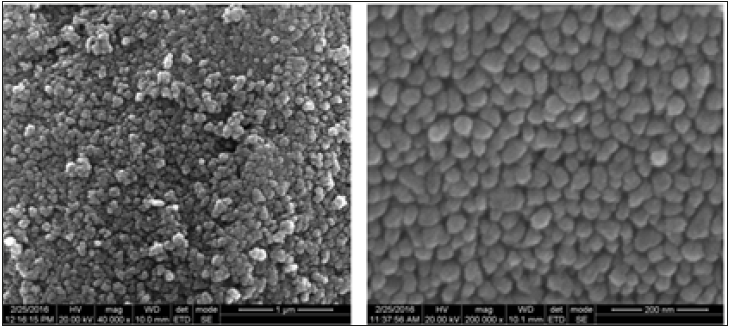 Click here to view Large image 6