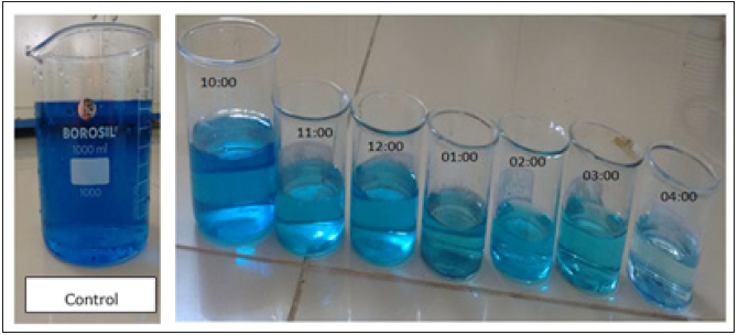 Click here to view Large image 7