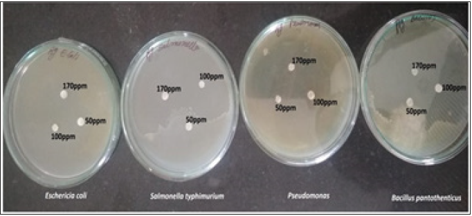 Click here to view Large image 9