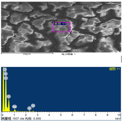 Click here to view Large image 5