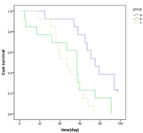 Click here to view Large image 8