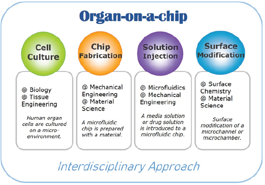 Click here to view Large image 1