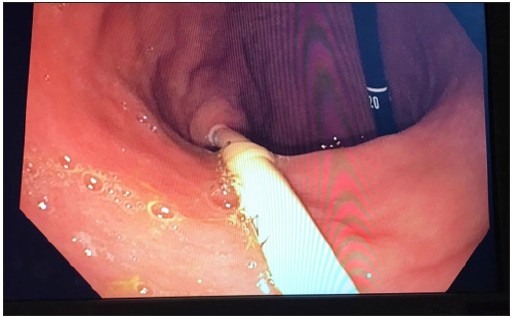 Click here to view Large image 2