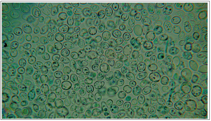 Click here to view Large image 2