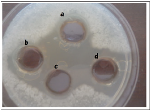 Click here to view Large image 3