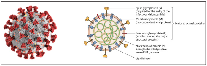 Click here to view Large image 1