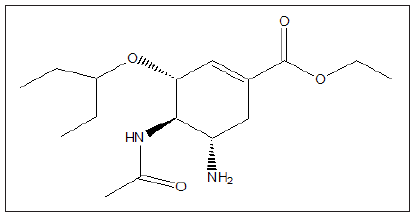 Click here to view Large image 11