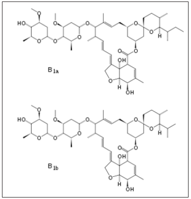 Click here to view Large image 13