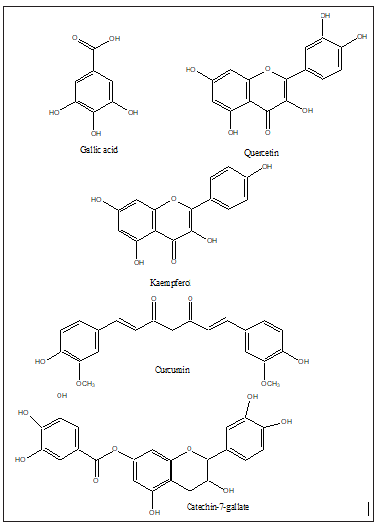 Click here to view Large image 16