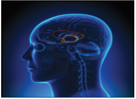 Click here to view Large image 1