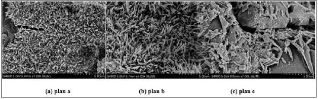 Click here to view Large image 11