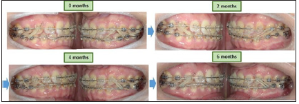 Click here to view Large image 12