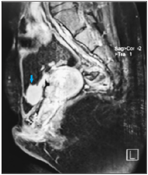 Click here to view Large image 3