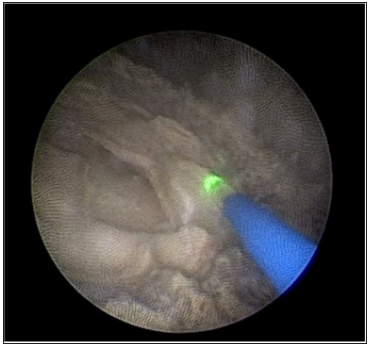 Click here to view Large image 4