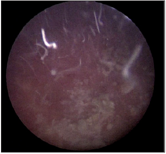 Click here to view Large image 5