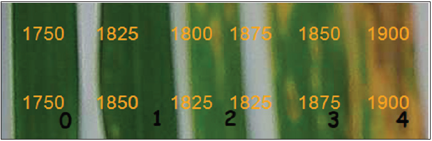 Click here to view Large image 1