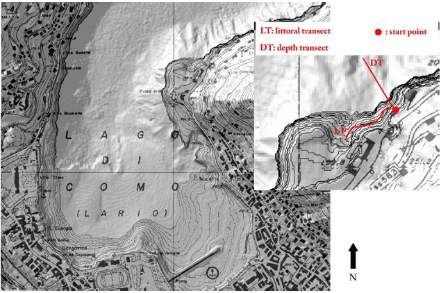 Click here to view Large image 1