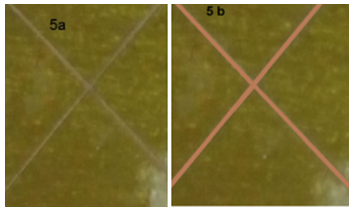 Click here to view Large image 8