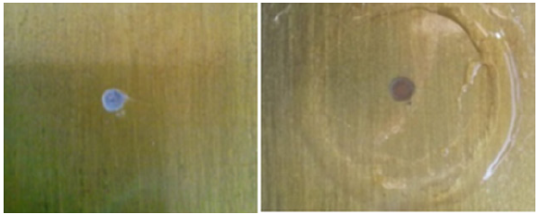 Click here to view Large image 9