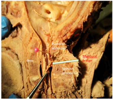 Click here to view Large image 1