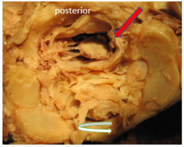 Click here to view Large image 2