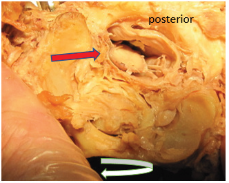 Click here to view Large image 3