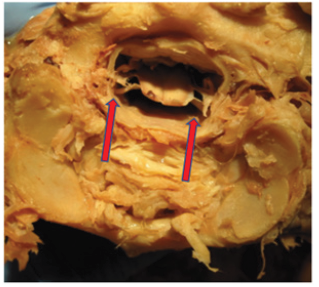 Click here to view Large image 4