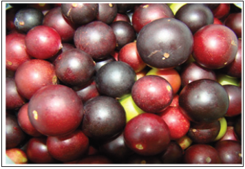 Click here to view Large image 1