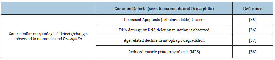 Click here to view Large table 1