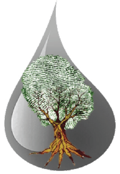 Click here to view Large Figure 1