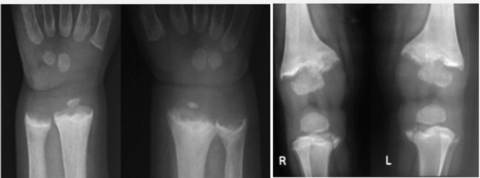 Click here to view Large Figure 2c