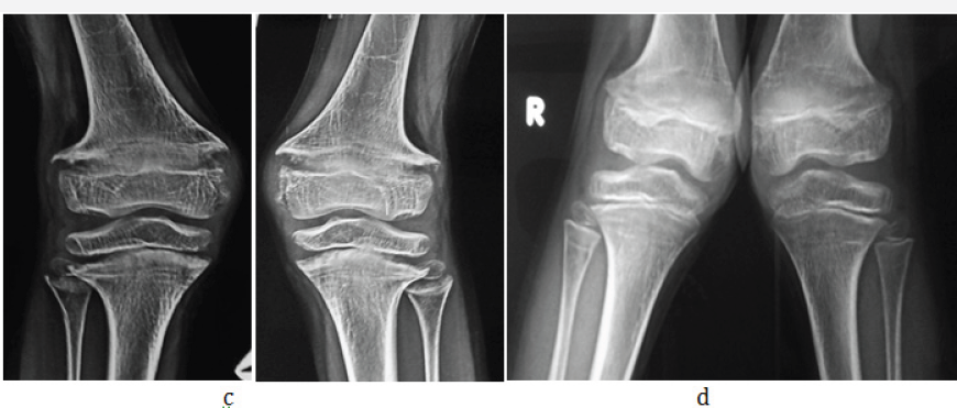 Click here to view Large Figure 4c