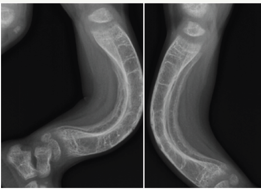 Click here to view Large Figure 5