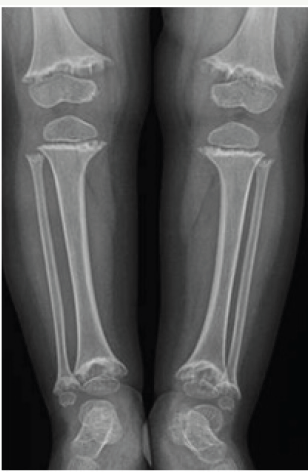 Click here to view Large Figure 7