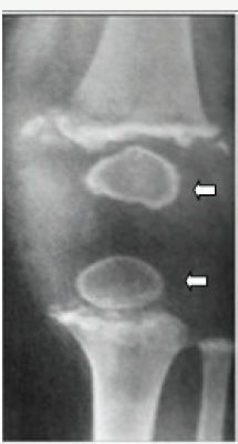 Click here to view Large Figure 8b