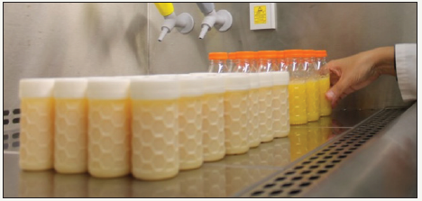 Click here to view Large image 2