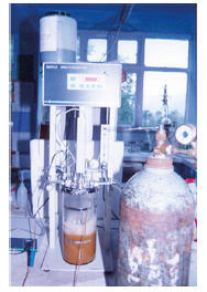 Click here to view Large image 4