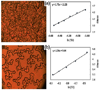 Click here to view Large image 1