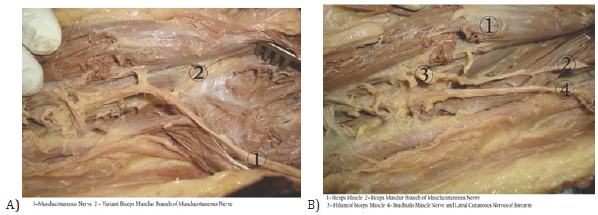 Click here to view Large Figure 1