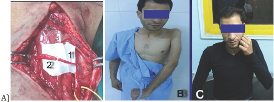 Click here to view Large Figure 1