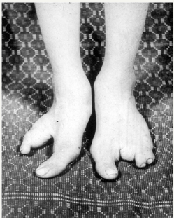 Click here to view Large image 3