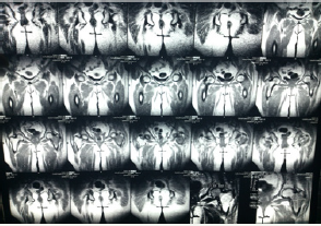 Click here to view Large image 5