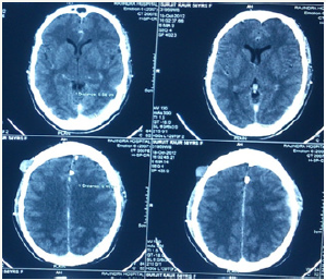 Click here to view Large image 7