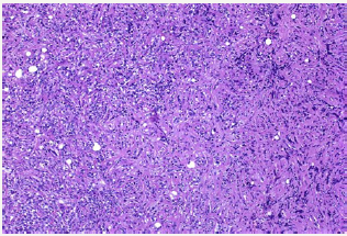 Click here to view Large image 8