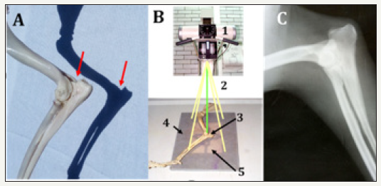 Click here to view Large image 1