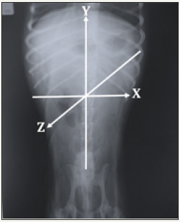 Click here to view Large image 4