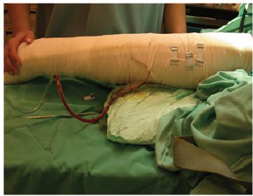 Click here to view Large Figure 7