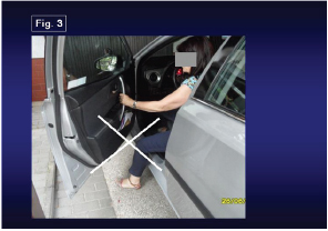 Click here to view Large Figure 3