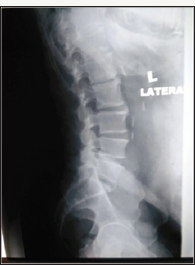 Click here to view Large Figure 3