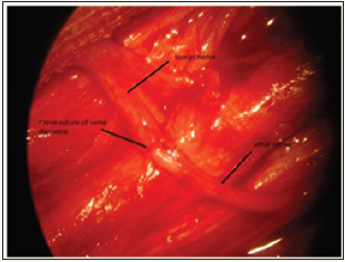 Click here to view Large image 1